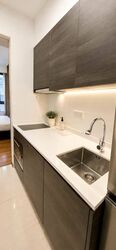 Sims Urban Oasis (D14), Condominium #561753951